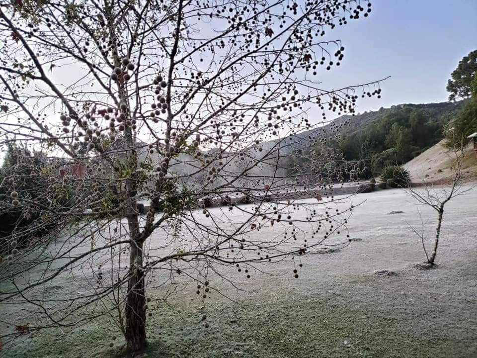 Hospedagem Vo Rosa Monte Verde  Εξωτερικό φωτογραφία