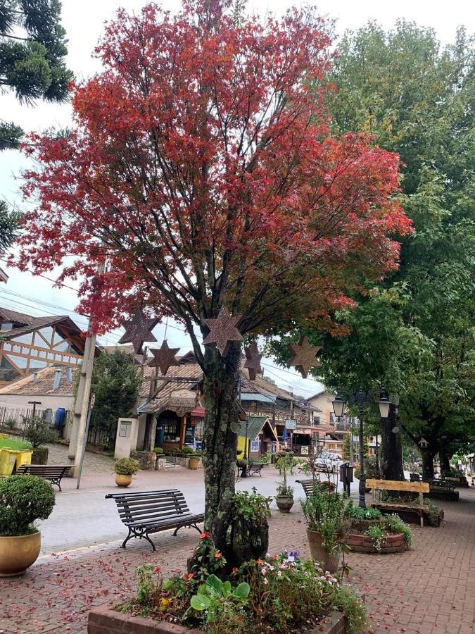 Hospedagem Vo Rosa Monte Verde  Εξωτερικό φωτογραφία